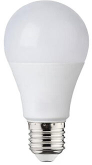 LED Lamp - E27 Fitting - 8W - Helder/Koud Wit 6000K