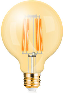 LED Lamp E27 Globe Filament - Brinton - Amber 6W 540lm - 822 Zeer Warm Wit 2200K - G95 | Vervangt 45W
