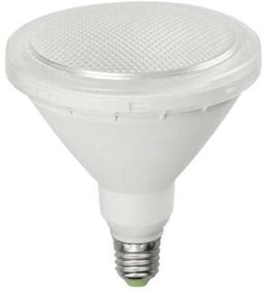 LED LAMP EDM PAR38 E27 15W WARM WIT