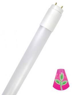 LED lamp GoLeaf T8 G13 volspectrum 8W 60cm