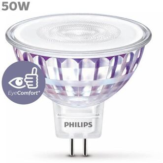 LED Lamp GU5.3 7W