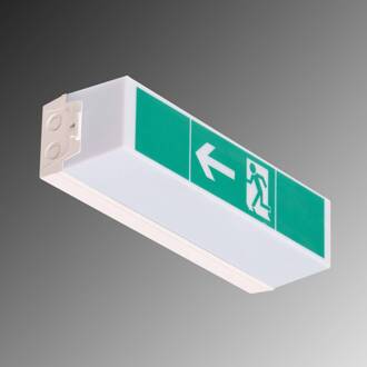 LED noodverlichting C-LUX Standard, enkele batterij wit RAL 9003, groen