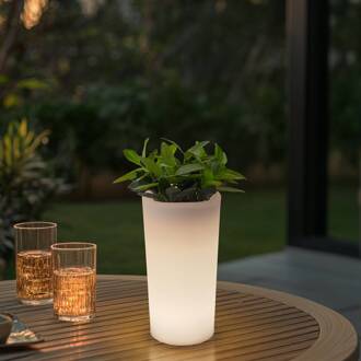 LED oplaadbare bloemenvaas Florista, RGB, IP54, Ø 12cm, wit