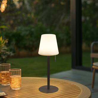 LED oplaadbare lamp Azalea, wit/bruin, 45 cm, CCT, IP44 donkerbruin, wit