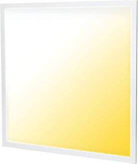 LED Paneel - Aigi Limno Slim - 60x60 - Aanpasbare Kleur CCT - 32W Inbouw Vierkant - Smart Wifi - Dimbaar - Mat Wit