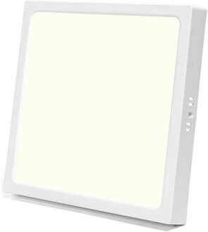 LED Paneel - Downlight - Aigi - Natuurlijk Wit 4000K - 24W - 30x30 - Opbouw - Vierkant - Wit - Flikkervrij