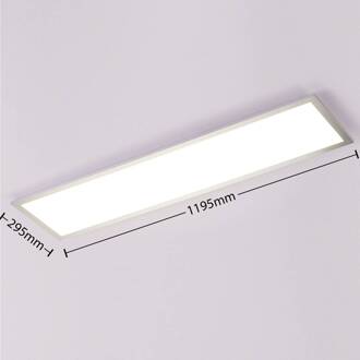 LED paneel Lysander, 32W, CCT, 119cm, zilver zilver, wit