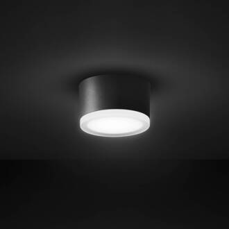 LED plafondlamp 1420 voor buiten plafond, grafiet Ø 13 cm grafiet, opaalwit