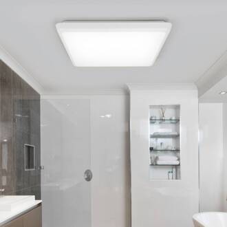 LED plafondlamp Augustin, 30 x 30 cm, wit, IP54