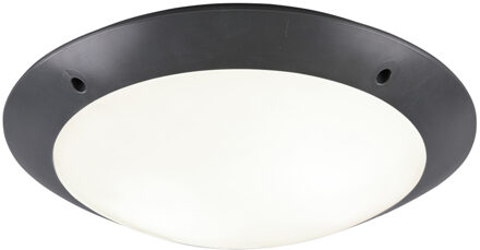 LED Plafondlamp - Badkamerlamp - Trion Camiro - Opbouw Rond - Waterdicht IP54 - E27 Fitting - 2-lichts - Mat Antraciet - Grijs