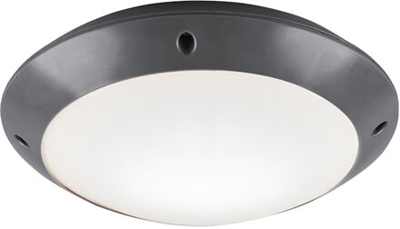 LED Plafondlamp - Badkamerlamp - Trion Camiro - Opbouw Rond - Waterdicht IP54 - E27 Fitting - Mat Antraciet - Kunststof Grijs