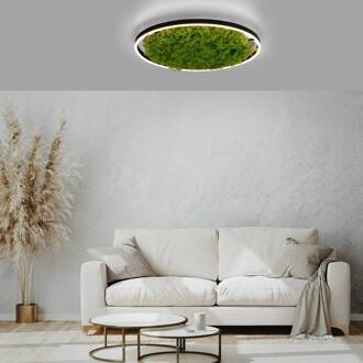 LED plafondlamp Green Ritus, mos dimbaar Ø58,5cm zwart, groen