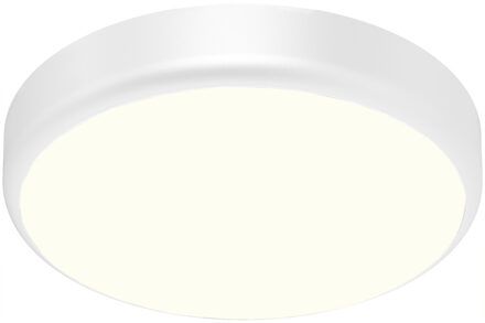 LED Plafondlamp met Sensor + Dag en Nacht Sensor - Brinton Gruna - 20W 2000lm - Natuurlijk Wit 4000K - IP54 - Opbouw