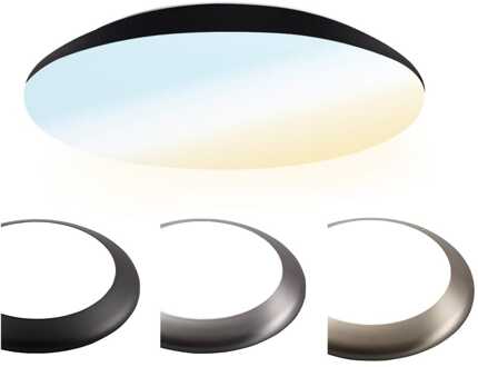 LED Plafondlamp/Plafonniere 12W Lichtkleur instelbaar - 1200lm - IK10 - Ø25 cm - Zwart - IP65
