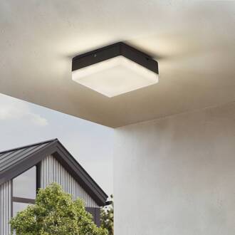 LED plafondlamp Thilo, 16cm, antraciet, sensor, IP54 antraciet, wit