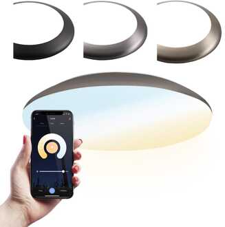 LED Plafondlamp  WiFi + Bluetooth 18W Lichtkleur instelbaar - 1900lm - IK10 - Ø30 cm - RVS - IP65