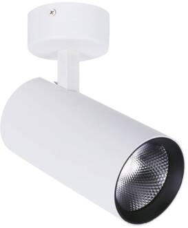 LED plafondspot Nestor, wit