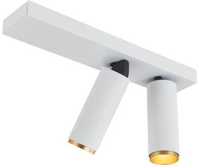 LED plafondspot X-Beam, 2-lamps, wit wit, goud