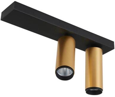 LED plafondspot X-Beam, 2-lamps, zwart/goud zwart, goud