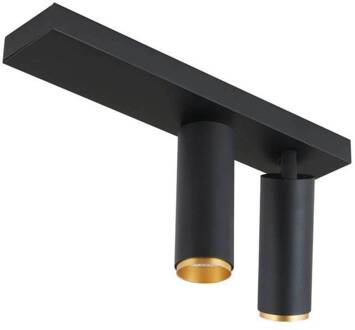 LED plafondspot X-Beam, 2-lamps, zwart zwart, goud