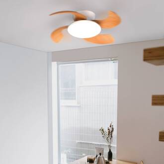 LED plafondventilator Aloha hout DC-motor stil Ø 90 cm CCT hout, wit