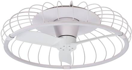 LED plafondventilator Nature, CCT App wit
