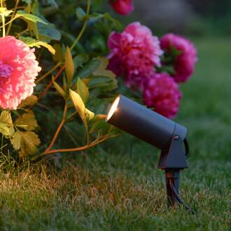 LED prikspot 5131, zwart, aluminium, glas, Schuko stekker