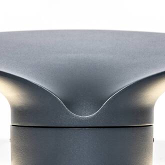 LED sokkellamp Lotus antraciet