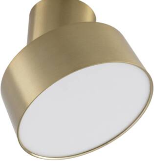 LED spot Nivoria, Ø 14 cm, goudkleurig, draaibaar gemonteerd
