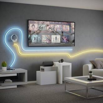 LED strip Neon Stripe-Z, 5 M., RGB, CCT, wit