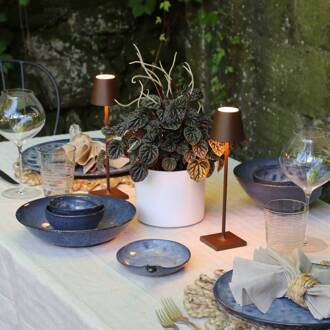 LED tafellamp op batterijen Poldina micro, roestbruin, IP65