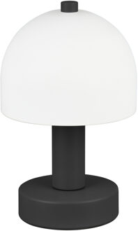 LED Tafellamp - Trion Eron - E14 Fitting - 1 Lichtpunt - Snoerschakelaar - IP20 - Wit/Mat Zwart - Glas/Metaal