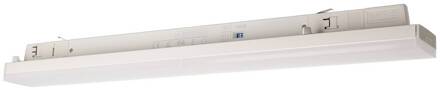 LED track lamp LINEAR PRO, wit, 940, 60 cm 3-fase DALI verkeerswit RAL 9016
