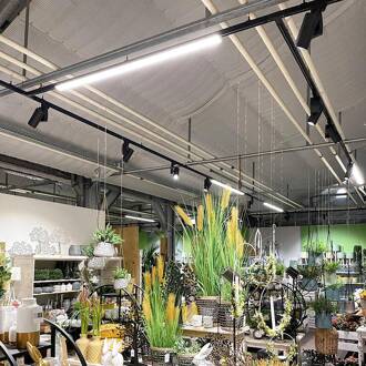 LED track lamp LINEAR PRO zwart 930 60 cm 3-circuit DALI verkeerszwart RAL 9017