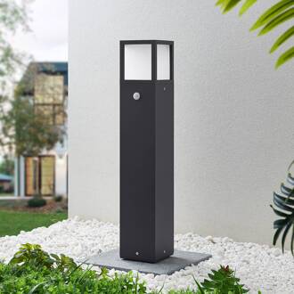 LED tuinpadverlichting Dewari, bewegingsmelder, 65 cm, IP54 donkergrijs