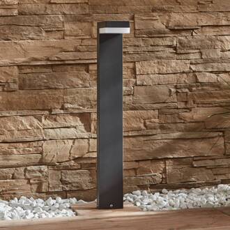 LED tuinpadverlichting Dionys, hoogte 70 cm, antraciet, metaal antraciet, wit