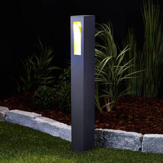 LED tuinpadverlichting Jenke, 65 cm, antraciet, aluminium antraciet, goud mat