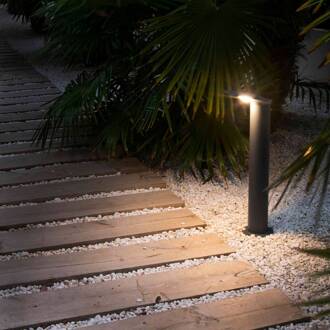 LED tuinpadverlichting Lotus antraciet