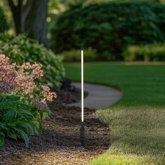 LED tuinpadverlichting Neano, 80 cm, zwart, metaal, IP65 zwart, wit