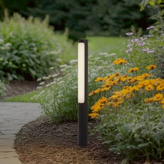 LED tuinpadverlichting Tuberia, antraciet, metaal, 80 cm antraciet, wit
