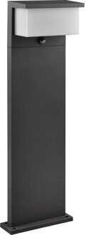 LED Tuinverlichting met Bewegingssensor - Staande Buitenlamp - Trion Sino - 13W - Warm Wit 3000K - Rechthoek - Mat Antraciet - Aluminium - 80cm