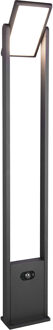 LED Tuinverlichting met Bewegingssensor - Staande Buitenlamp - Trion Walla - 5W - Aanpasbare kleur - Rechthoek - Antraciet - Aluminium - 101cm Zeer Warm Wit;Warm wit;Natuurlijk wit
