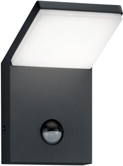 LED Tuinverlichting met Bewegingssensor - Wandlamp Buitenlamp - Trion Pearly - 8W - Warm Wit 3000K - Waterdicht IP54 - Grijs