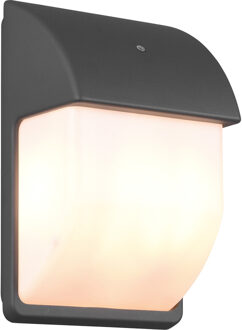 LED Tuinverlichting met Dag en Nacht Sensor - Buitenlamp - Trion Menaki - E14 Fitting - Spatwaterdicht IP44 - Ovaal - Grijs