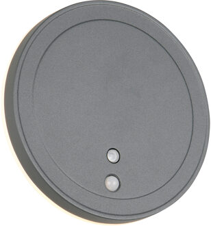 LED Tuinverlichting - Trion Argo - Wandlamp Buitenlamp - 1 Lichtpunt van 2 Watt - Warm Wit 3000K - Schemeringsensor - Bewegingssensor - Op Batterijen - Rond - Antraciet - Aluminium
