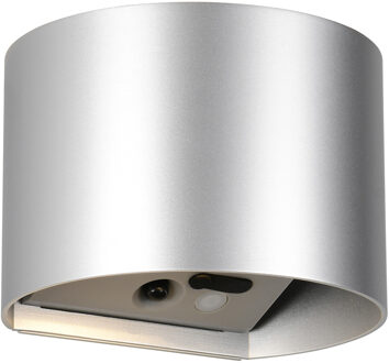 LED Tuinverlichting - Trion Elan - Wandlamp Buitenlamp - 2 Lichtpunten Boven en Onder van 1 Watt - Warm Wit 3000K - Bewegingssensor - Op Batterijen - Halfrond - Titaan - Kunststof