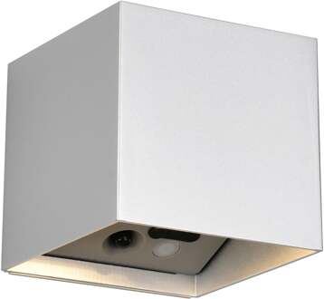 LED Tuinverlichting - Trion Elan - Wandlamp Buitenlamp - 2 Lichtpunten Boven en Onder van 1 Watt - Warm Wit 3000K - Bewegingssensor - Op Batterijen - Vierkant - Titaan - Kunststof