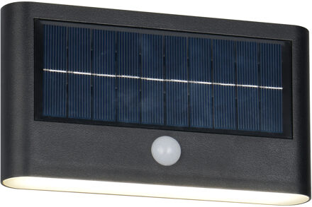 LED Tuinverlichting - Trion Elmar - Wandlamp Buitenlamp - 1 Lichtpunt van 8 Watt - Natuurlijk Wit 4000K - Schemeringsensor - Bewegingssensor - IP44 - Mat Zwart - Kunststof