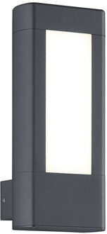 LED Tuinverlichting - Tuinlamp - Trion Rhinon - Wand - 9W - Warm Wit 3000K - Mat Antraciet - Aluminium Grijs