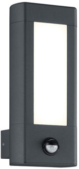 LED Tuinverlichting - Tuinlamp - Trion Rhinon - Wand - Bewegingssensor - 9W - Mat Antraciet - Aluminium Grijs